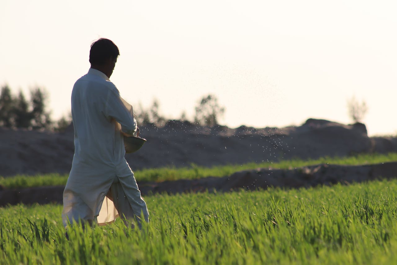 Home pexels-photo-35366709.jpeg