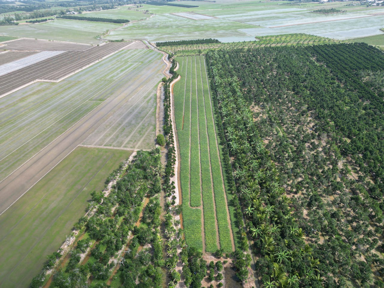 Free stock photo of bicycle, countryside, culture